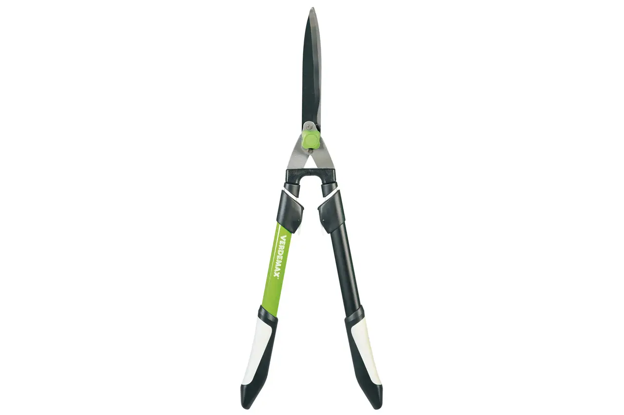 THE ART OF PRUNING
