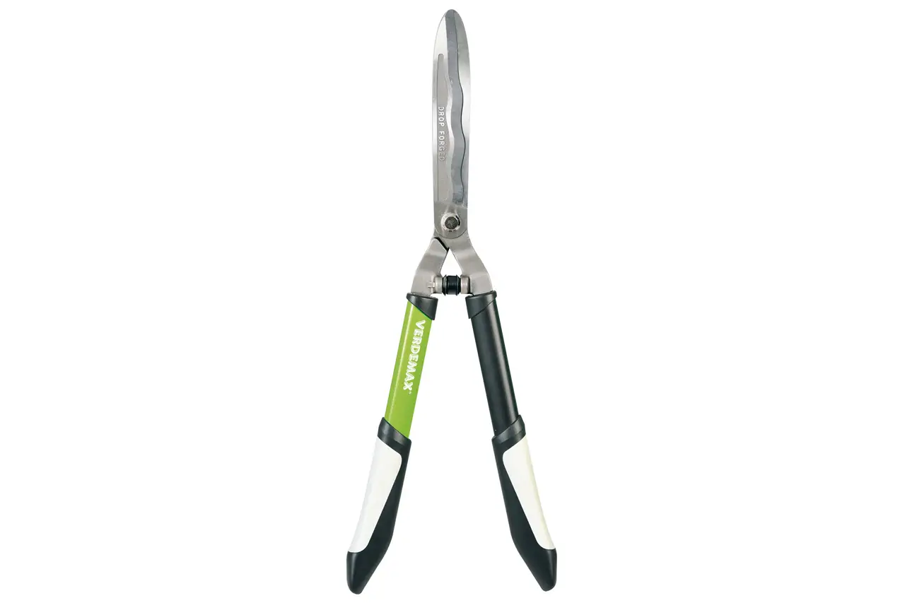 THE ART OF PRUNING
