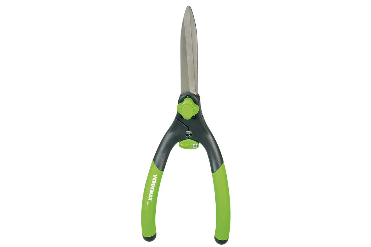 THE ART OF PRUNING