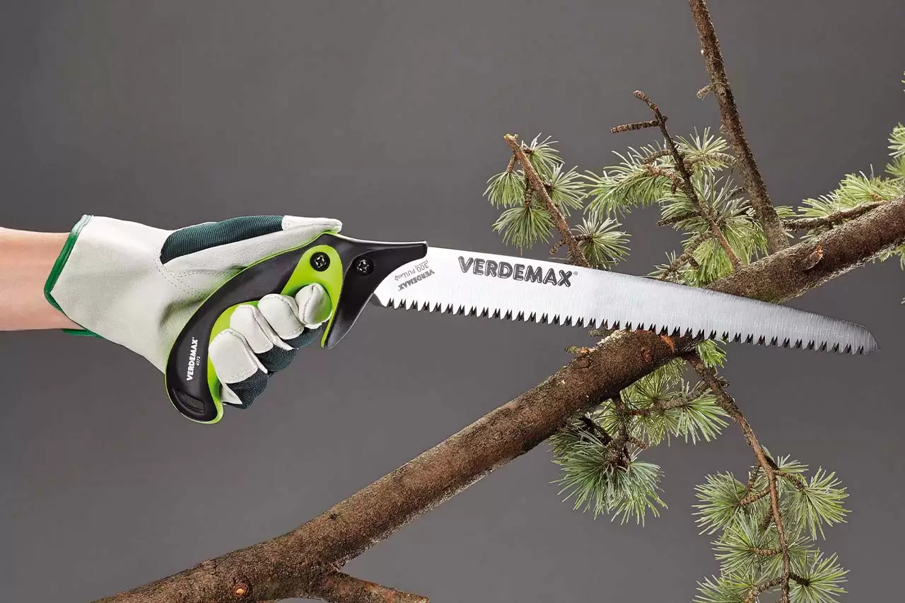 THE ART OF PRUNING