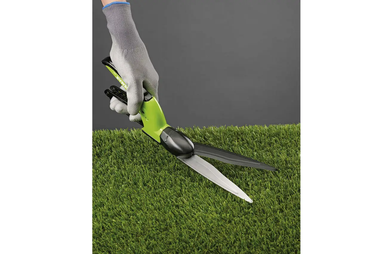 THE ART OF PRUNING