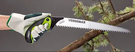 THE ART OF PRUNING
