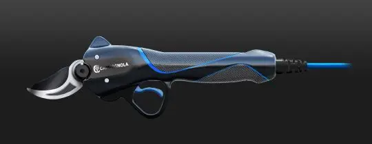 COBRA